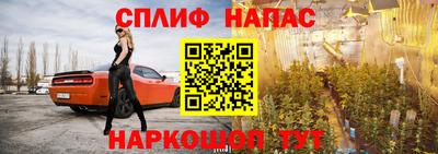 прущие грибы Чапаевск